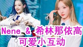 劳动法的三大基本原则-了解万物(新闻频道)